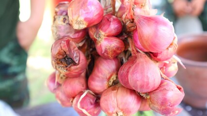 onions on the market