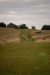 Morning walk around Petworth Park, Petworth, West Sussex, England, UK