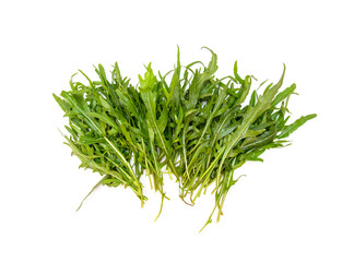 Green arugula leaves on white table