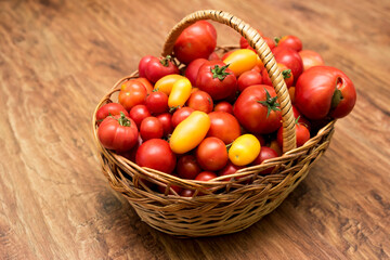In the photo there is a basket with tomatoes. Fresh organic food from the garden.