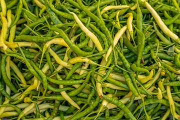 Turkish green hot pepper background in closeup on a big heap of the spicy peppers in the market.