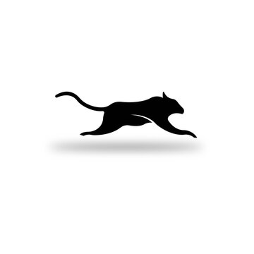 cheetah logo design template vector illustration
