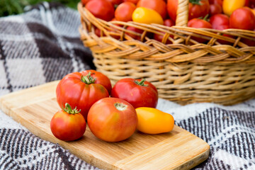 Fototapeta na wymiar Tomatoes on a plank. Harvesting by autumn. Against the background of a large basket of tomatoes.