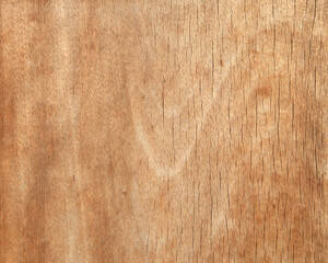 texture and pattern of wood panel, background for text or image
