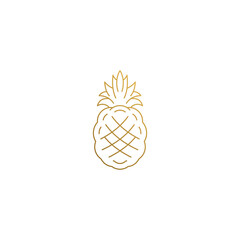 Outline icon of tropical pineapple hand drawn with thin lines