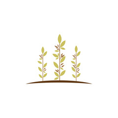 Beauty Florist botanical flower vector