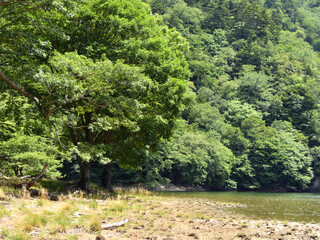 静寂の湖　奥日光・西の湖
