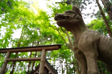 Komainu (shrine guardian dog statues) at Hotosan Jinja Shrine Okumiya at Chichibu, Saitama, Japan. ...