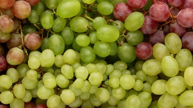 Ripe grapes. Bunch of grapes - background.