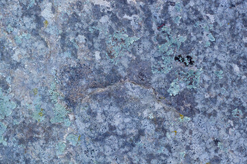 Naklejka premium Grey grunge textured wall background copy space