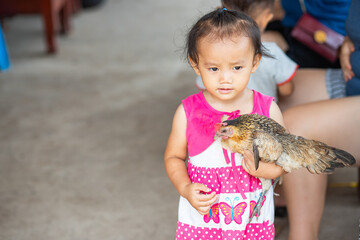 Little adorable Asian girl carrying a chicken