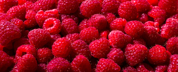 Raspberry for the background. Lots of ripe raspberries.