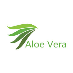 Aloe vera logo vector illustration template