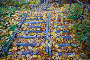 autumn  stairs in the park