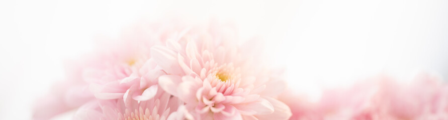 Nature of pink flower in garden using as cover page background natural flora wallpaper or template...