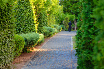 Naklejka premium priest walks along the path in the park