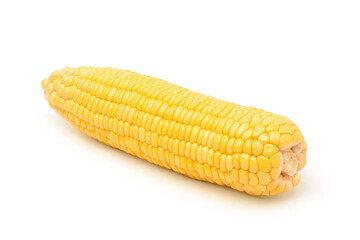 Fresh corn isolated on white background. Clipping path