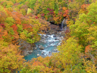 Waterfall with yellow and red leaves in autumn, Hachimantai, Iwate, Japan