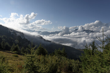 Rocky mountain peak of the Alps, emerging from the clouds, seen above the clouds, from the ridge of the mountain opposite, between the grass and the trees,