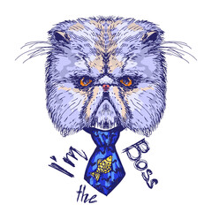 Hand drawn cat head with words I'm the Boss, vector illustration