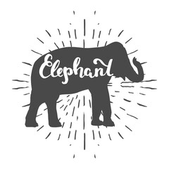 Elephant silhouette with handwritten lettering inside, vector illustration