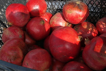 Ripe pomegranates
