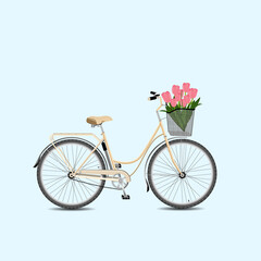 Fototapeta na wymiar Classic city bicycle, ecological sport transport. Beige women bicycle with metal basket and pink tulips.