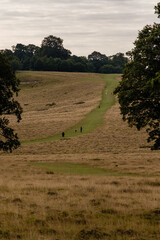 Morning walk around Petworth Park, Petworth, West Sussex, England, UK