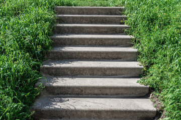 an old concrete staircase overgrown with grass