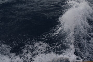 Fototapeta na wymiar Waves on the Sea 