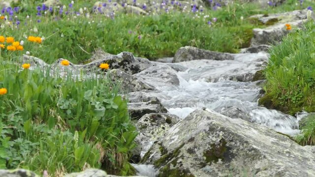 Clean, natural water in a mountain stream among the stones