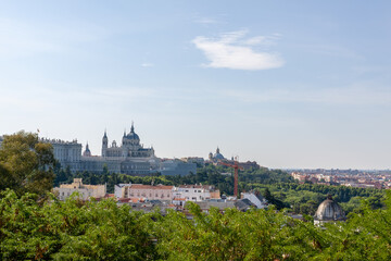 Fototapeta na wymiar Madrid skyline with a bushes on front. Madrid, Spain