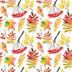 Autumn seamless pattern. Watercolor autumn leaves and bunches of rowan on white.