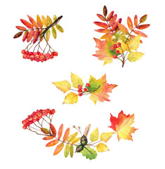 Watercolor set of autumn leaves for your design.