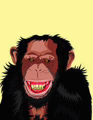 Chimp head design vector illustration. Poster concept