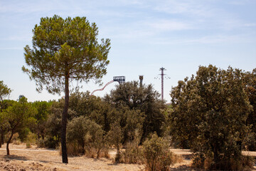 Fototapeta na wymiar Green trees in Caso De Campo park in Madrid, Spain with a roller coaster on the background