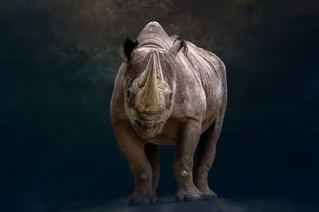Poster Im Rahmen close up front view portrait of a rhino standing before a black background © Ralph Lear