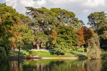 Green trees in Madrid Park in Spain