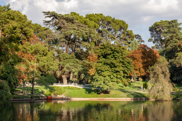 Fototapeta na wymiar Green trees in Madrid Park in Spain