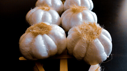 Fresh harvesting garlic tied in bunches. Dried decorative garlic on the dark background