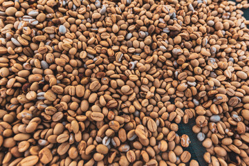 coffee beans background
