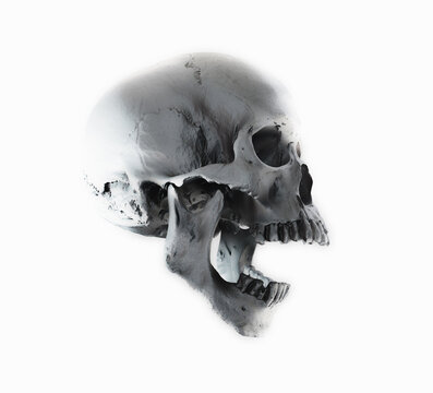 Human skull in profile on a white background. Print, material for design. T-shirt, wallpaper and background concept. The concept of death, horror. Spooky Halloween symbol. 3d render illustration.