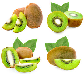 kiwi slice isolated on white background