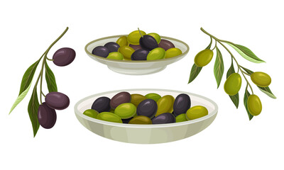Green and Black Olives in Bowl Vector Set