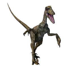 Fototapeta premium 3D Rendering Dinosaur Deinonychus on White