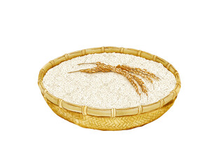 Watercolor Illustration of A bamboo basket of rice, with two ears of rice on the top, isolated on white background.
