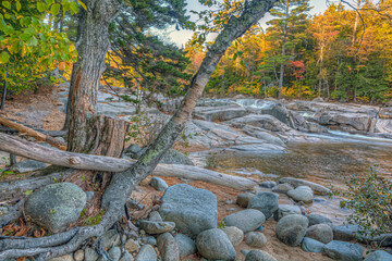 Autumn on the swift river