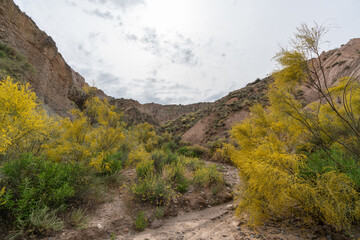 mountainous landscape in southern Spain