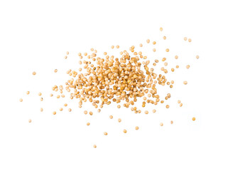 Stop motion soy bean in the air isolated on white background food and drink object design