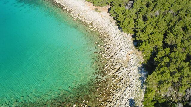 Beach with the pine forest near Pako&scaron;tane, Adriatic coast in Croatia